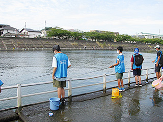 境川でハゼつり調査