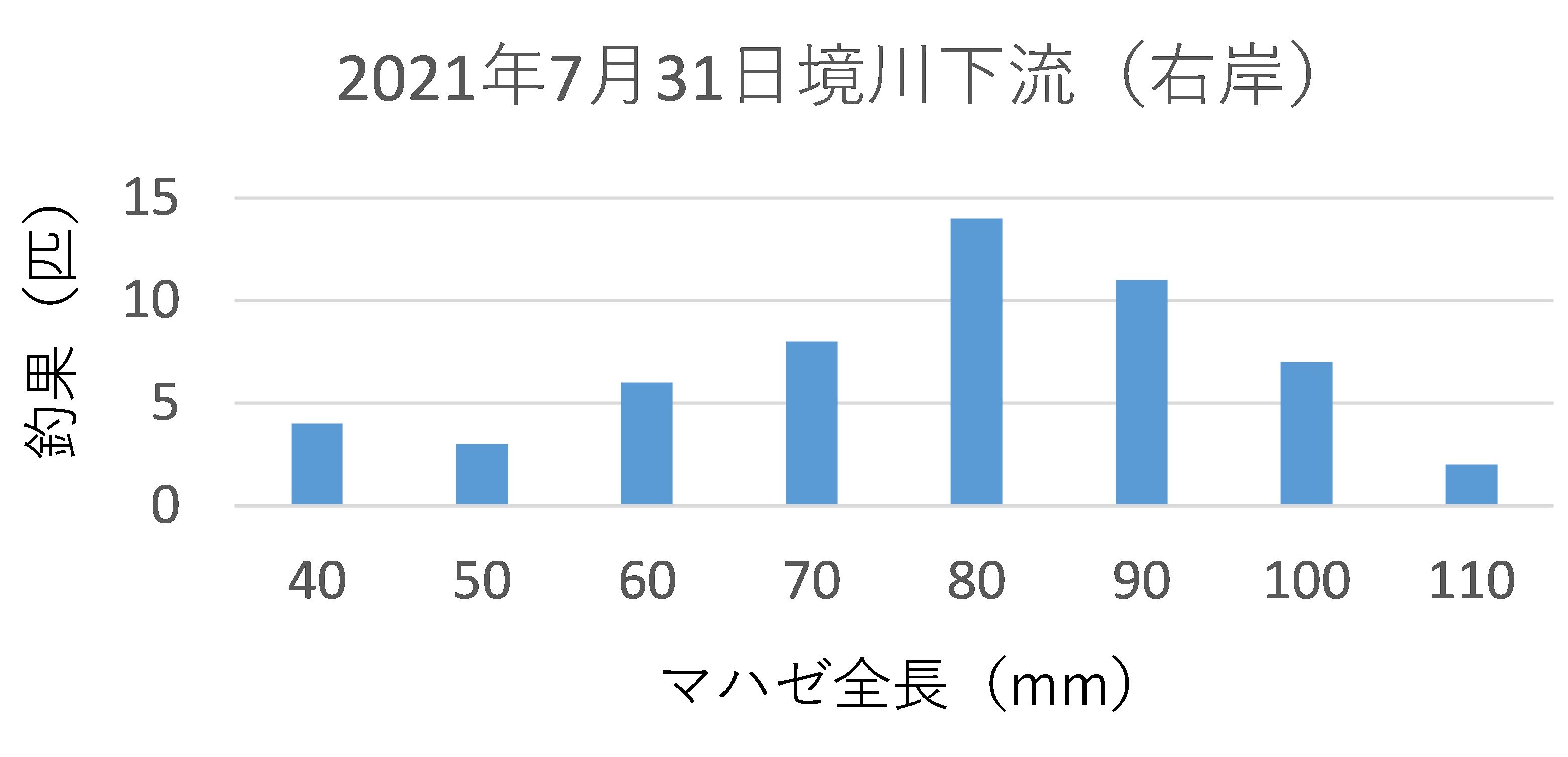 釣果の全長分布(80mmにピークが見られました)
