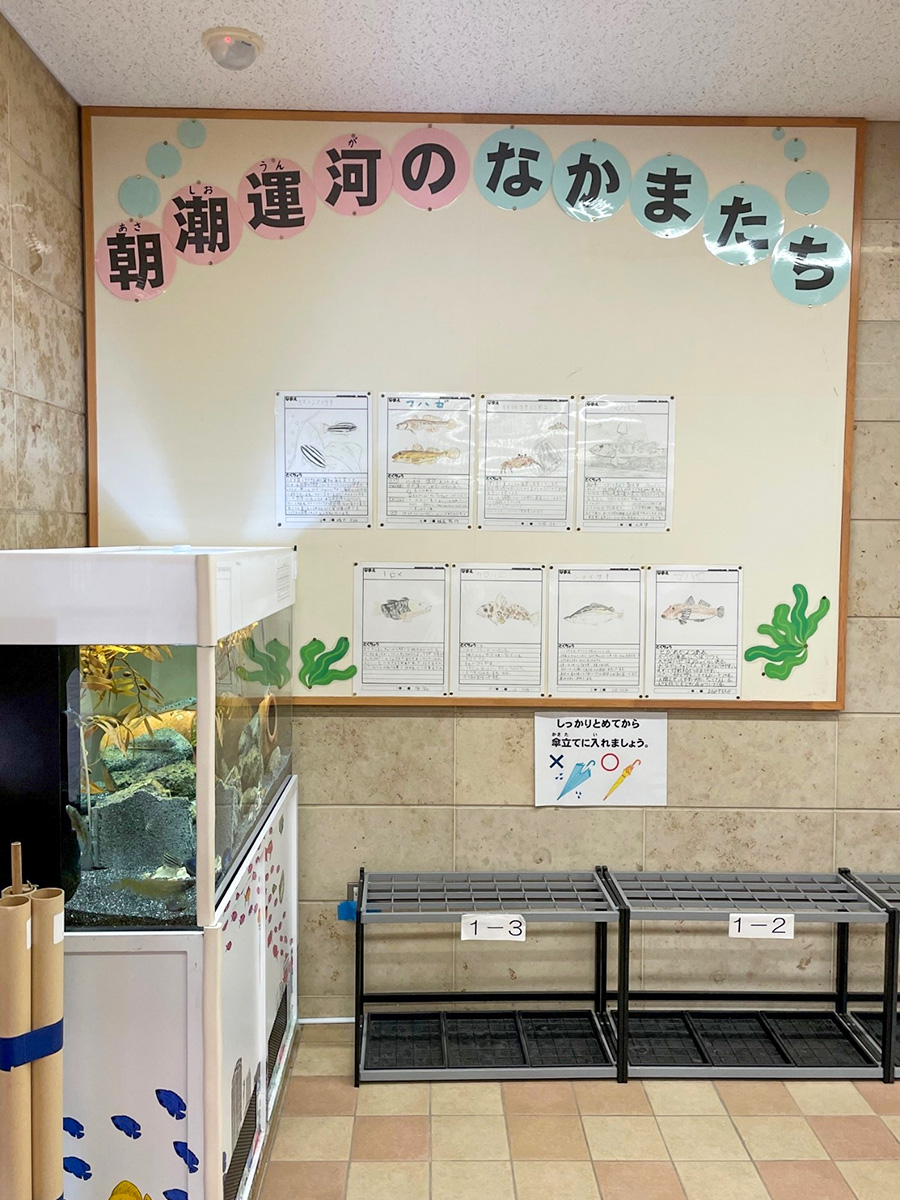 4年生が書いてくれた「朝潮運河のなかまたち」の解説ボード