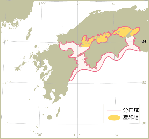 瀬戸内海グループの分布域と産卵場