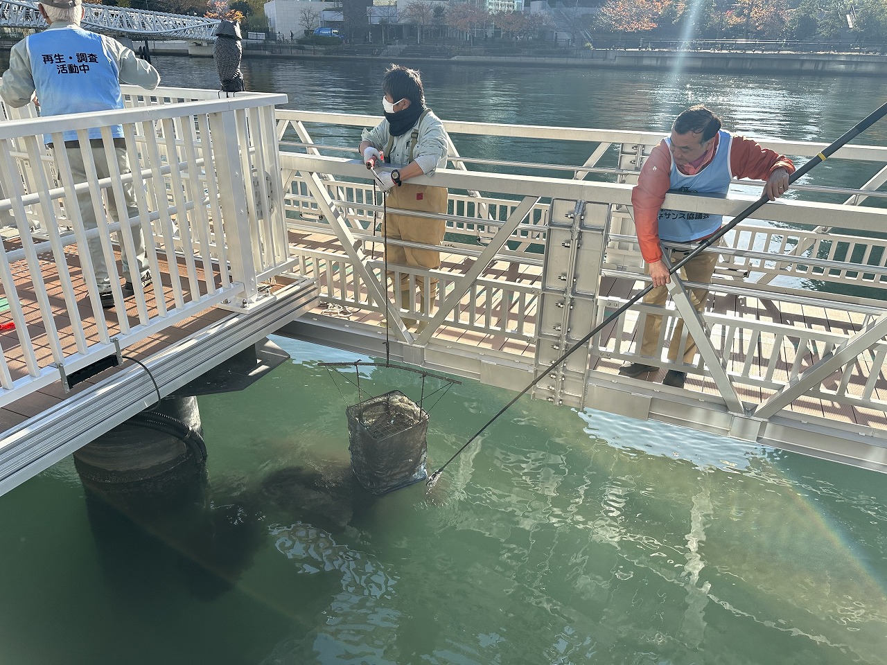 簡易かご調査の様子