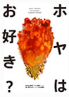ホヤはお好き? 表紙