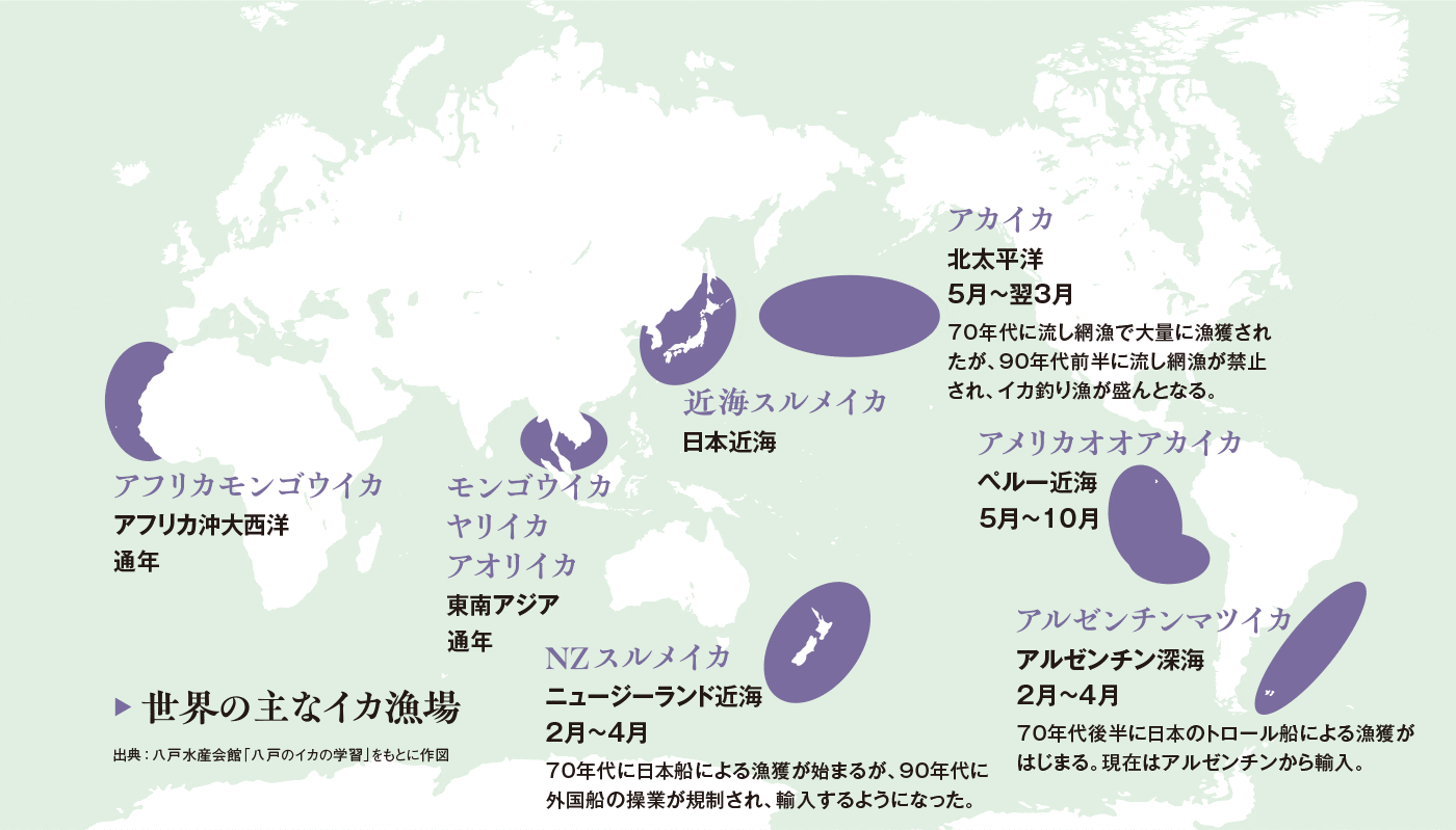 世界の主なイカ漁場 図版