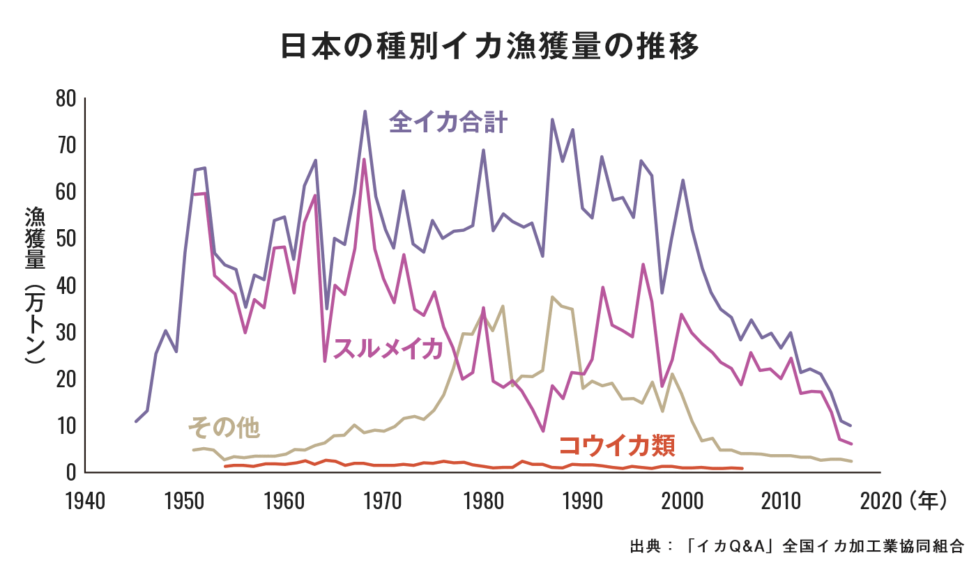 日本の種別イカ漁獲量の推移 グラフ