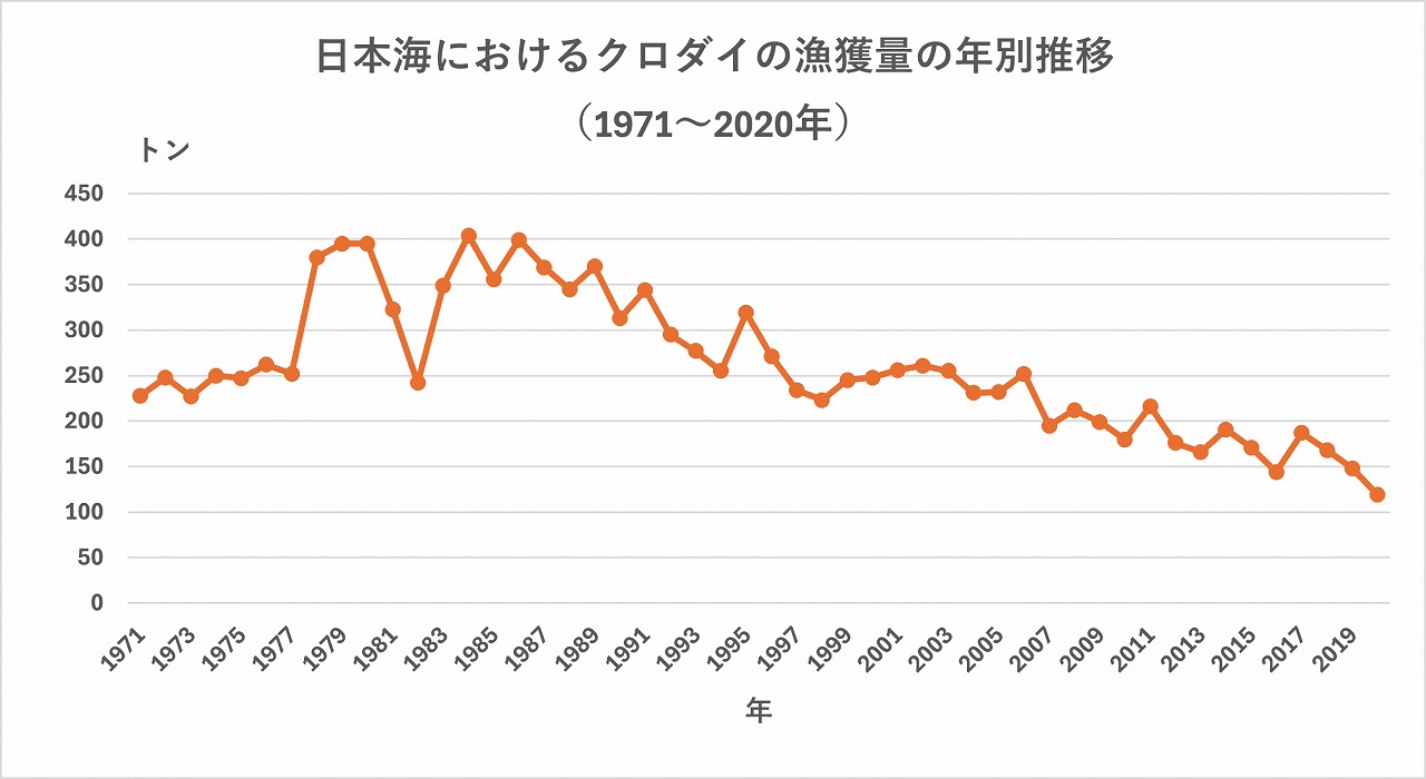 日本海クロダイ漁獲量