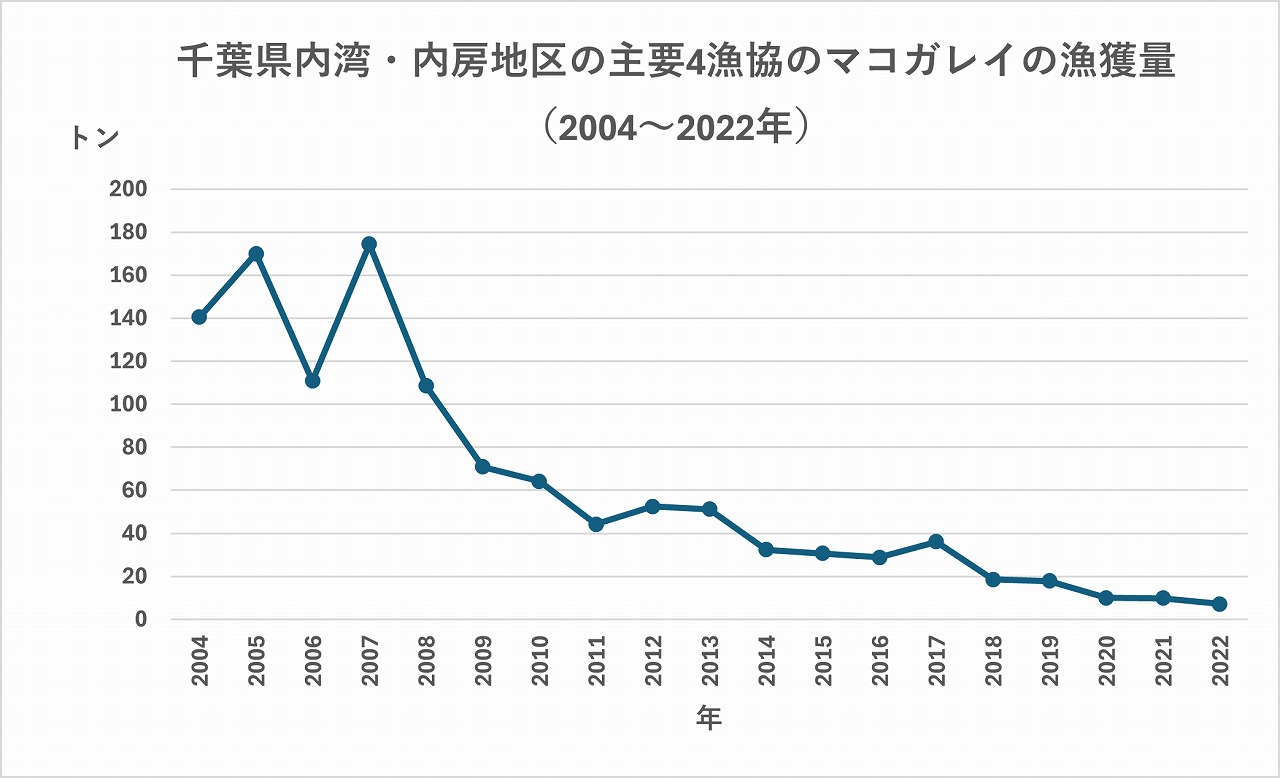 マコガレイ漁獲量