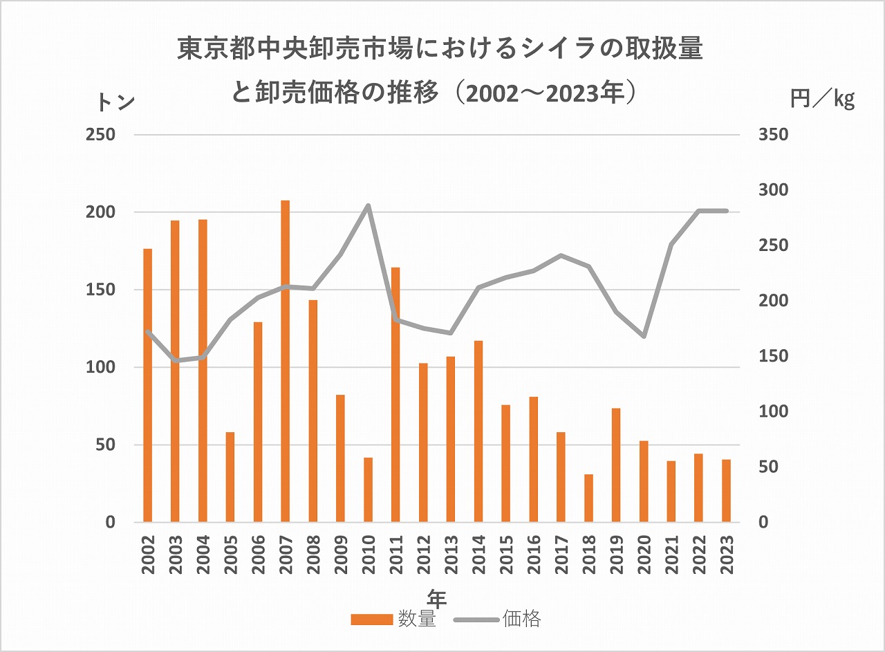 シイラ取扱高