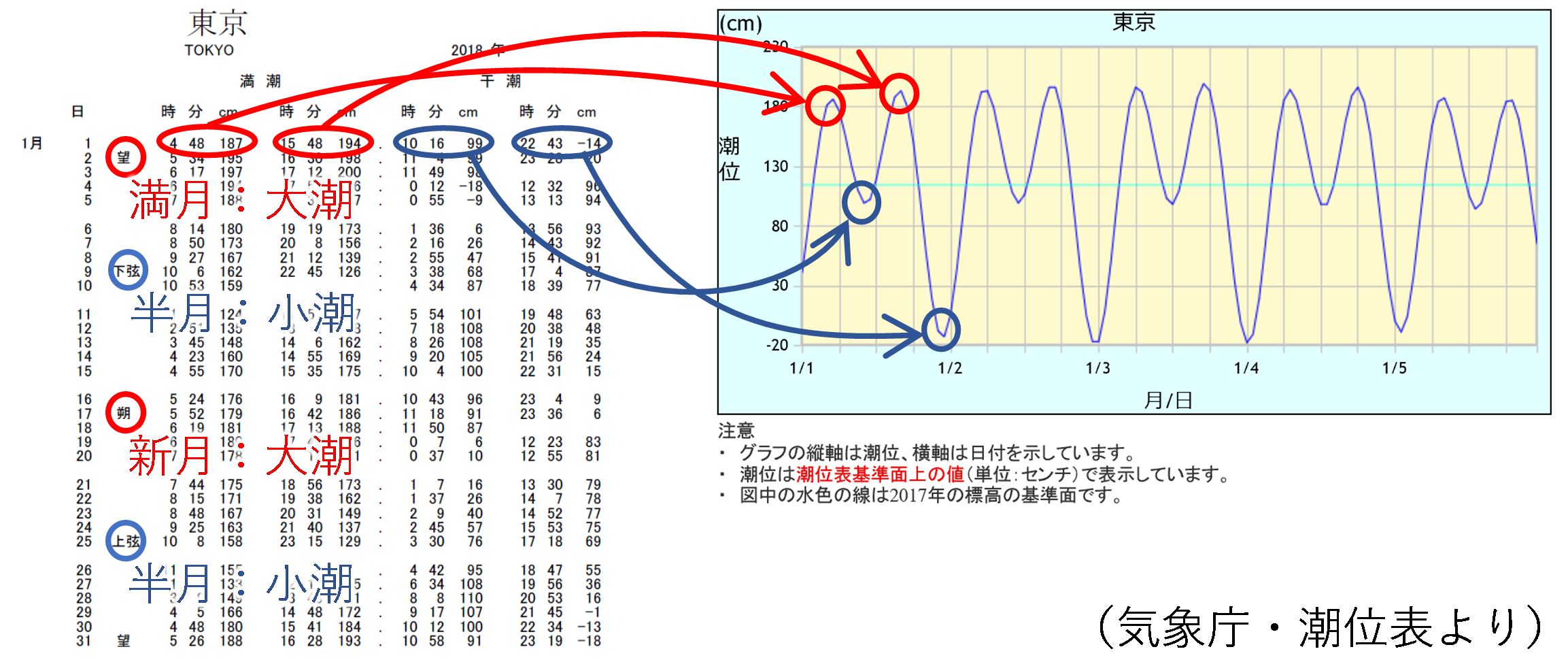 潮位表の見かた