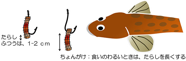 エサのつけかた