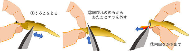 小さなマハゼの捌き方(から揚げの下準備)