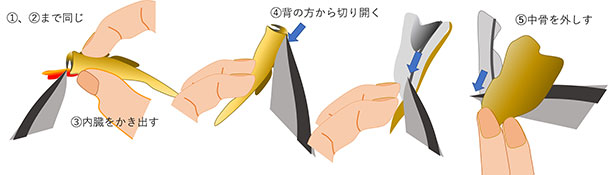 大きめのマハゼの開きかた(天ぷらの下準備)